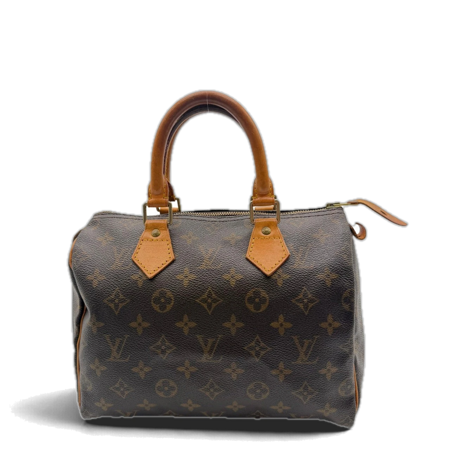Louis Vuitton Speedy 25 Handbag