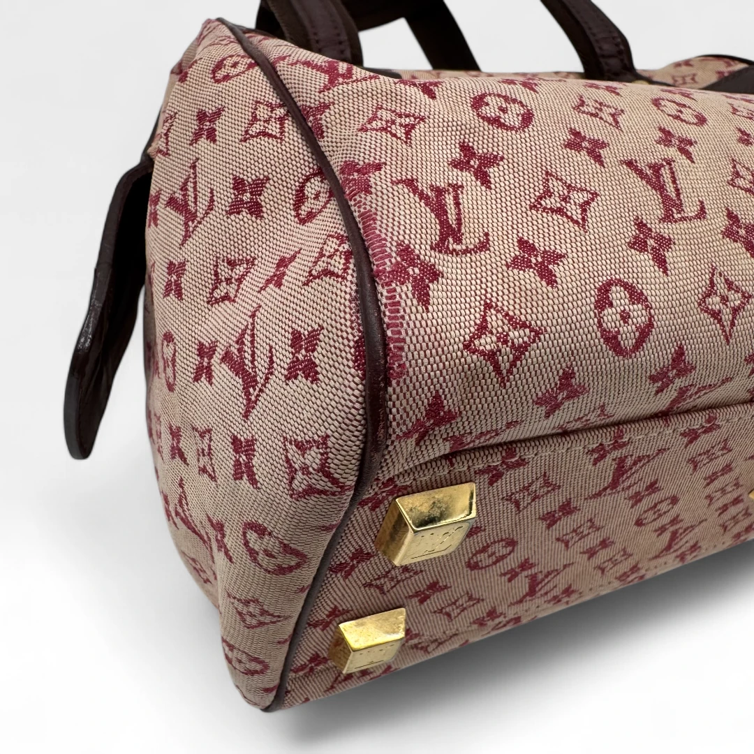 Louis Vuitton handbag Josephine PM monogram red