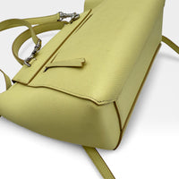 Celine Handtasche Belt Nano