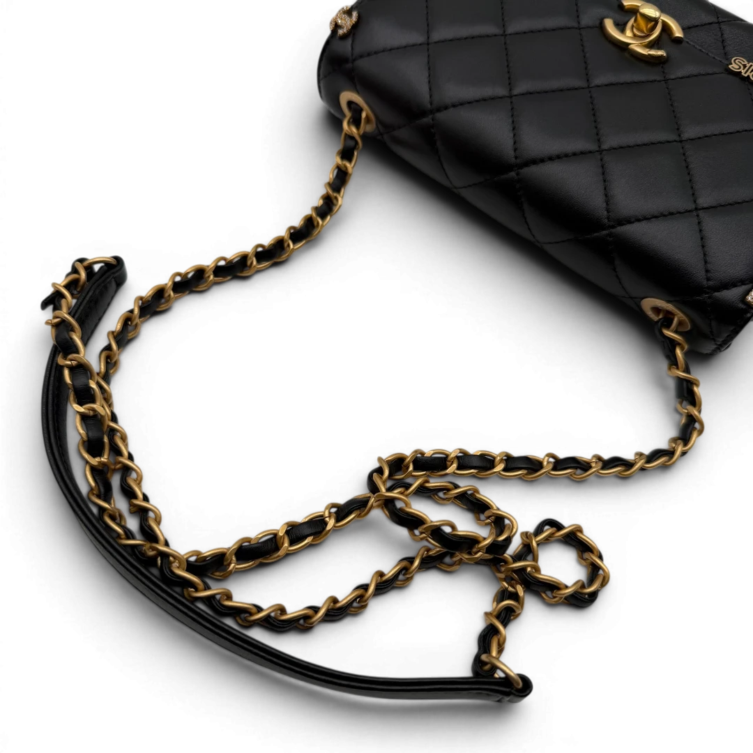Chanel Handtasche Cruise 23C Mini Flap bag