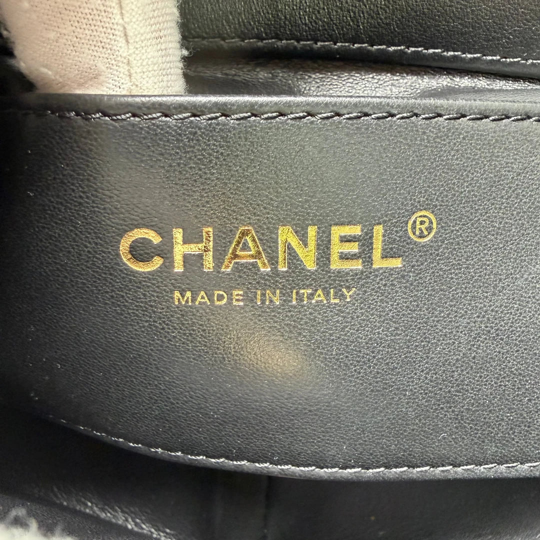 Chanel Handtasche Cruise 23C Mini Flap bag