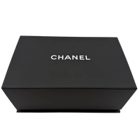 Chanel Handtasche Cruise 23C Mini Flap bag