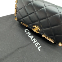 Chanel Handtasche Cruise 23C Mini Flap bag