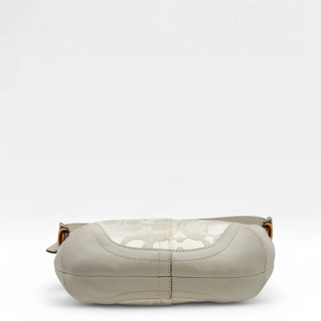 Coach Handtasche Signature