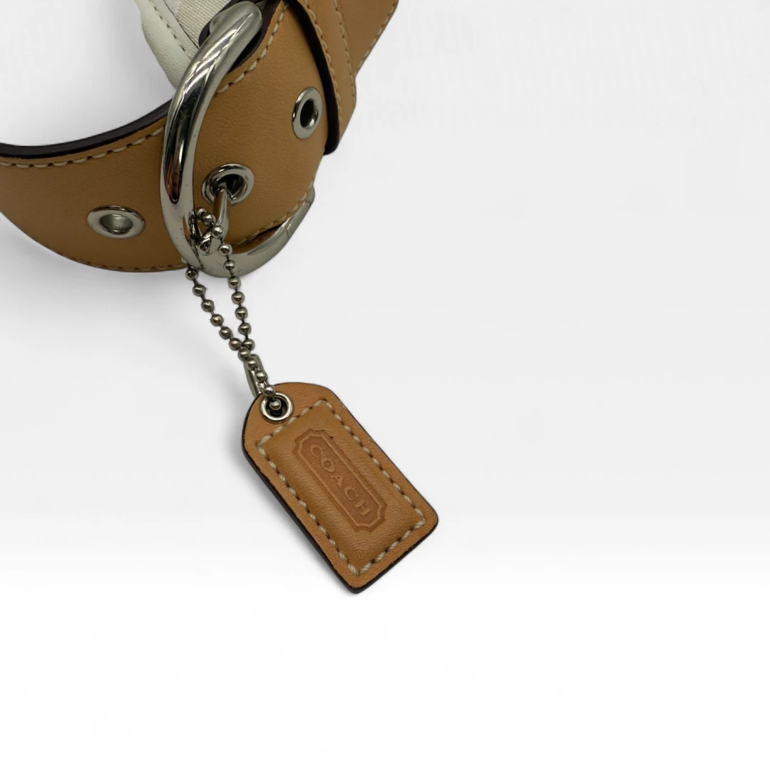 Coach Handtasche Signature