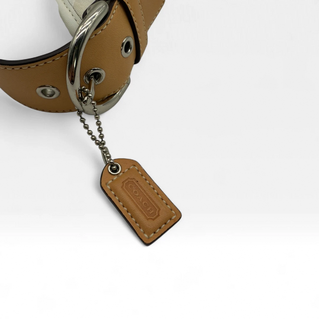Coach Handtasche Signature