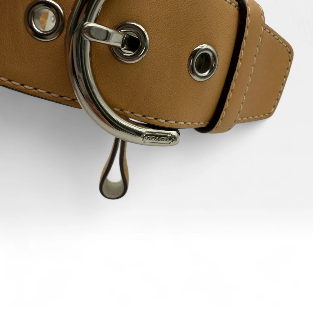 Coach Handtasche Signature