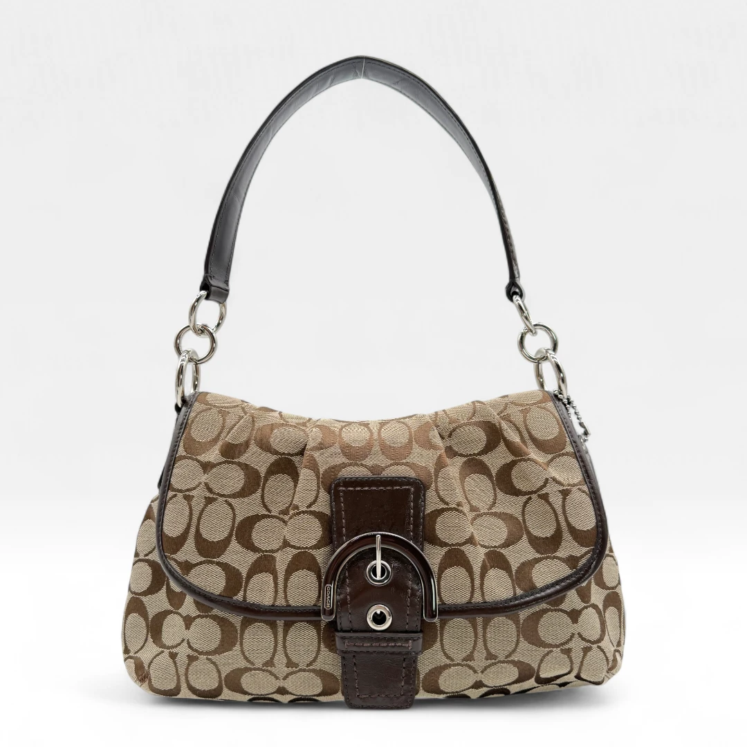 Coach Handtasche Signature