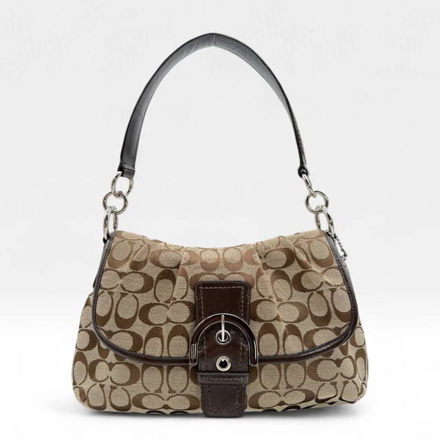 Coach Handtasche Signature