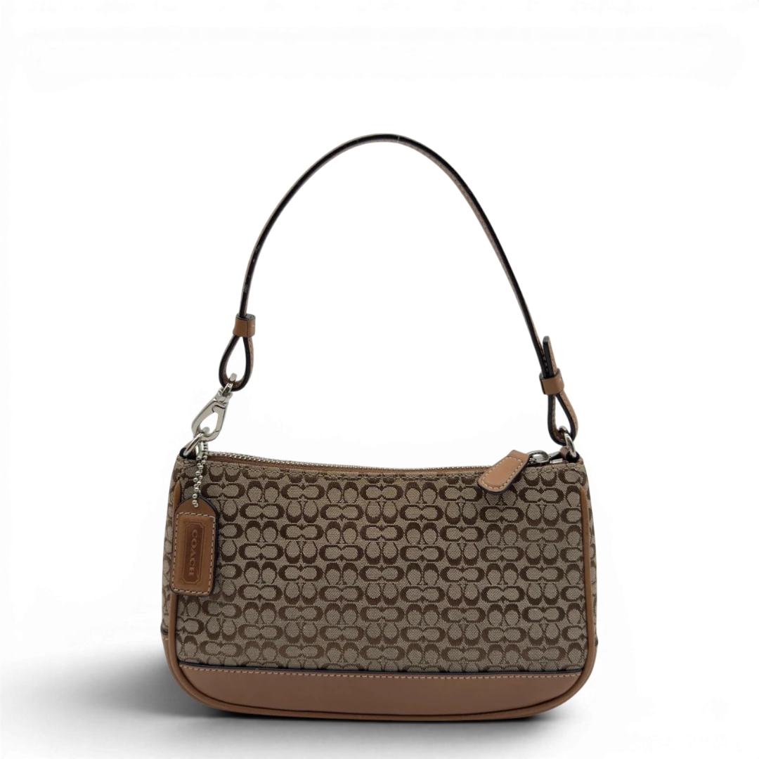 Coach Mini Signature Pouch