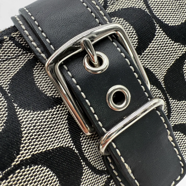 Coach Pochette Soho