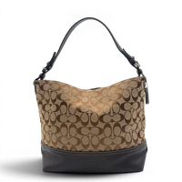 Coach Signature Shoulder Bag