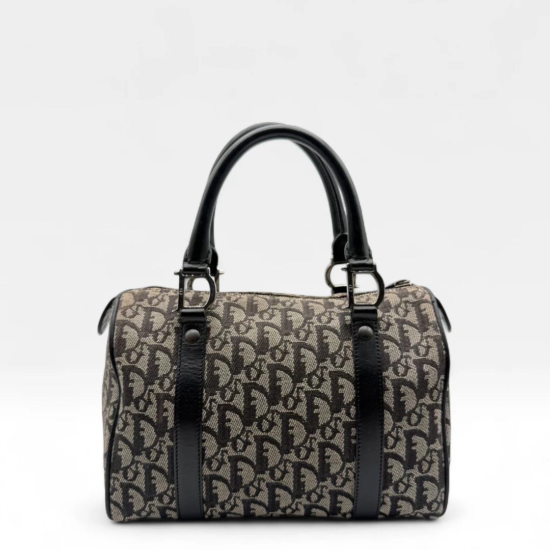 Dior Boston 25 handbag with D-strap gray