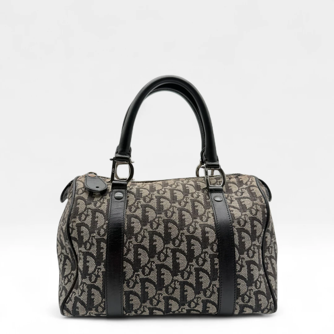 Dior Boston 25 handbag with D-strap gray