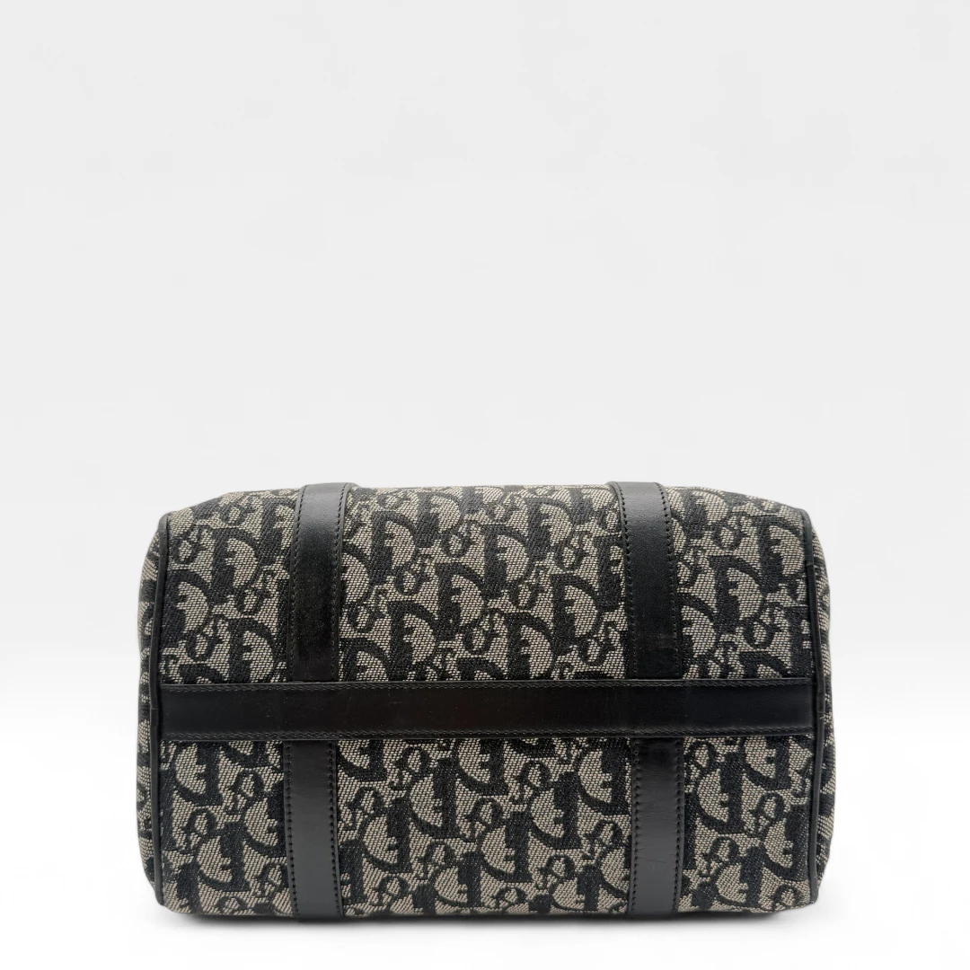 Dior Boston 25 handbag with D-strap gray