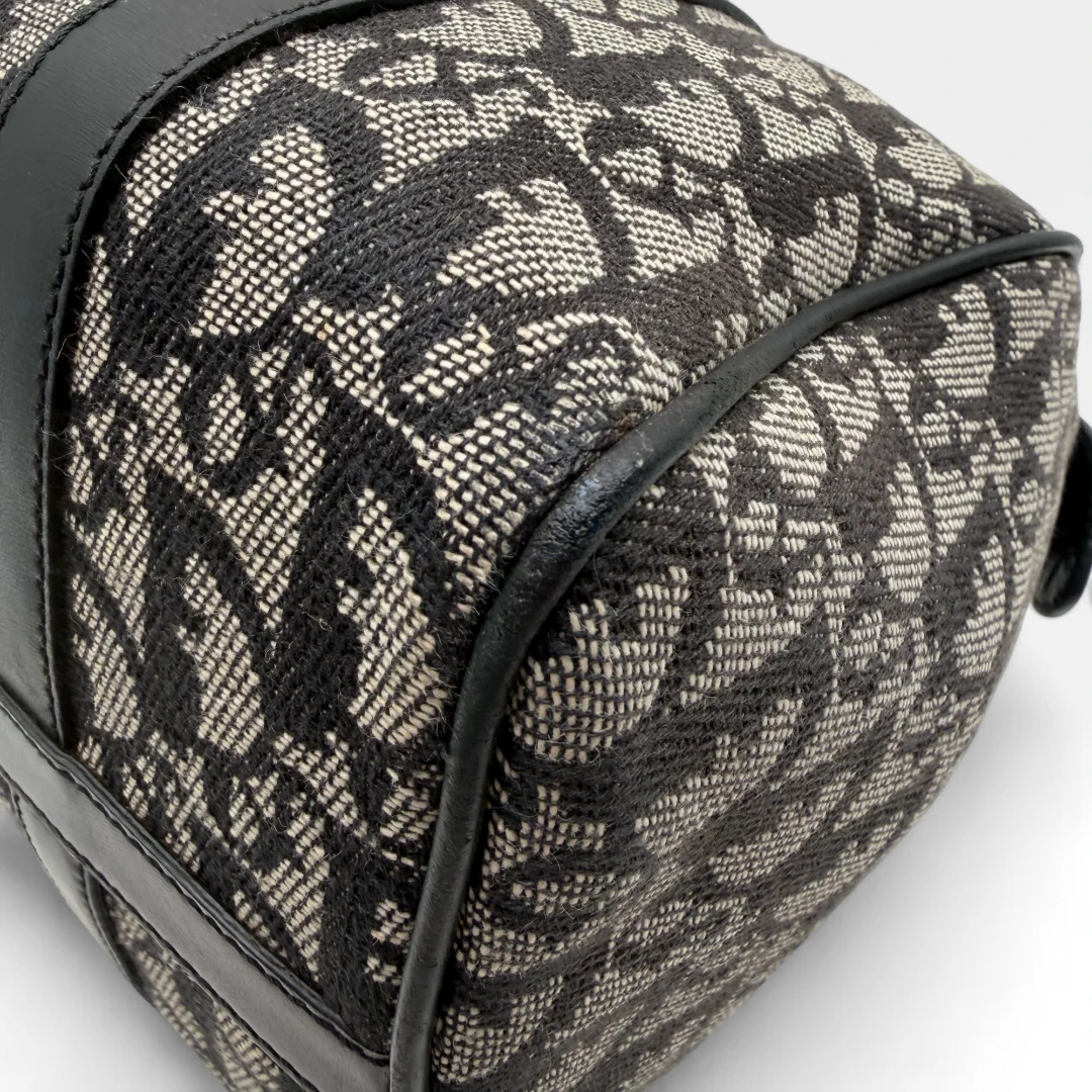 Dior Boston 25 handbag with D-strap gray