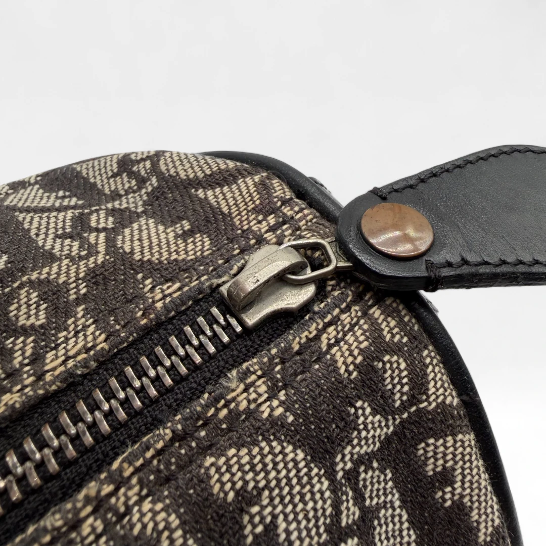 Dior Boston 25 handbag with D-strap gray