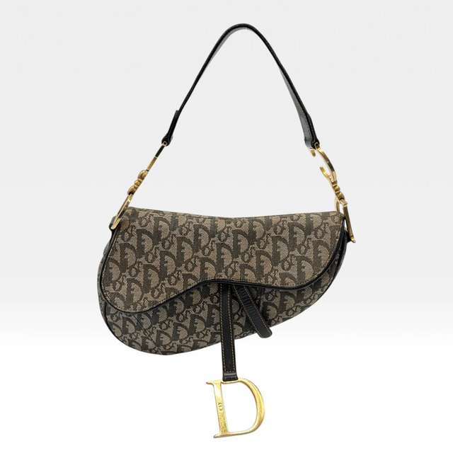 Dior Handtasche Saddle Bag