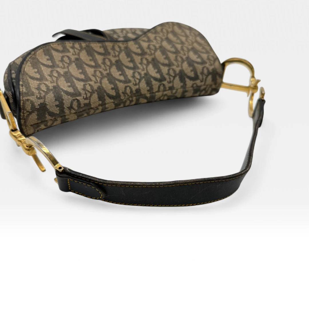 Dior Handtasche Saddle Bag
