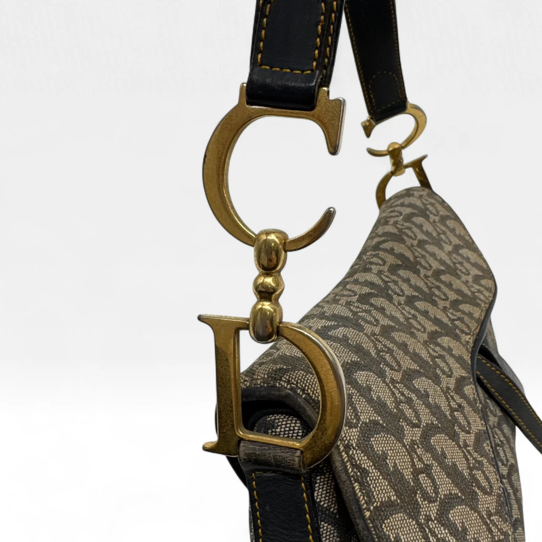 Dior Handtasche Saddle Bag