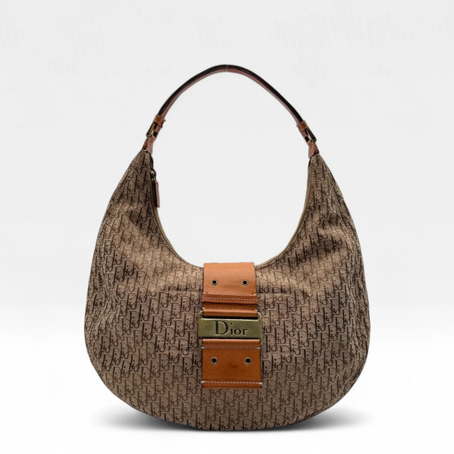Dior Handbag Street Chic