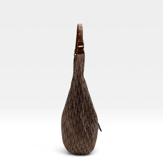 Dior Handbag Street Chic