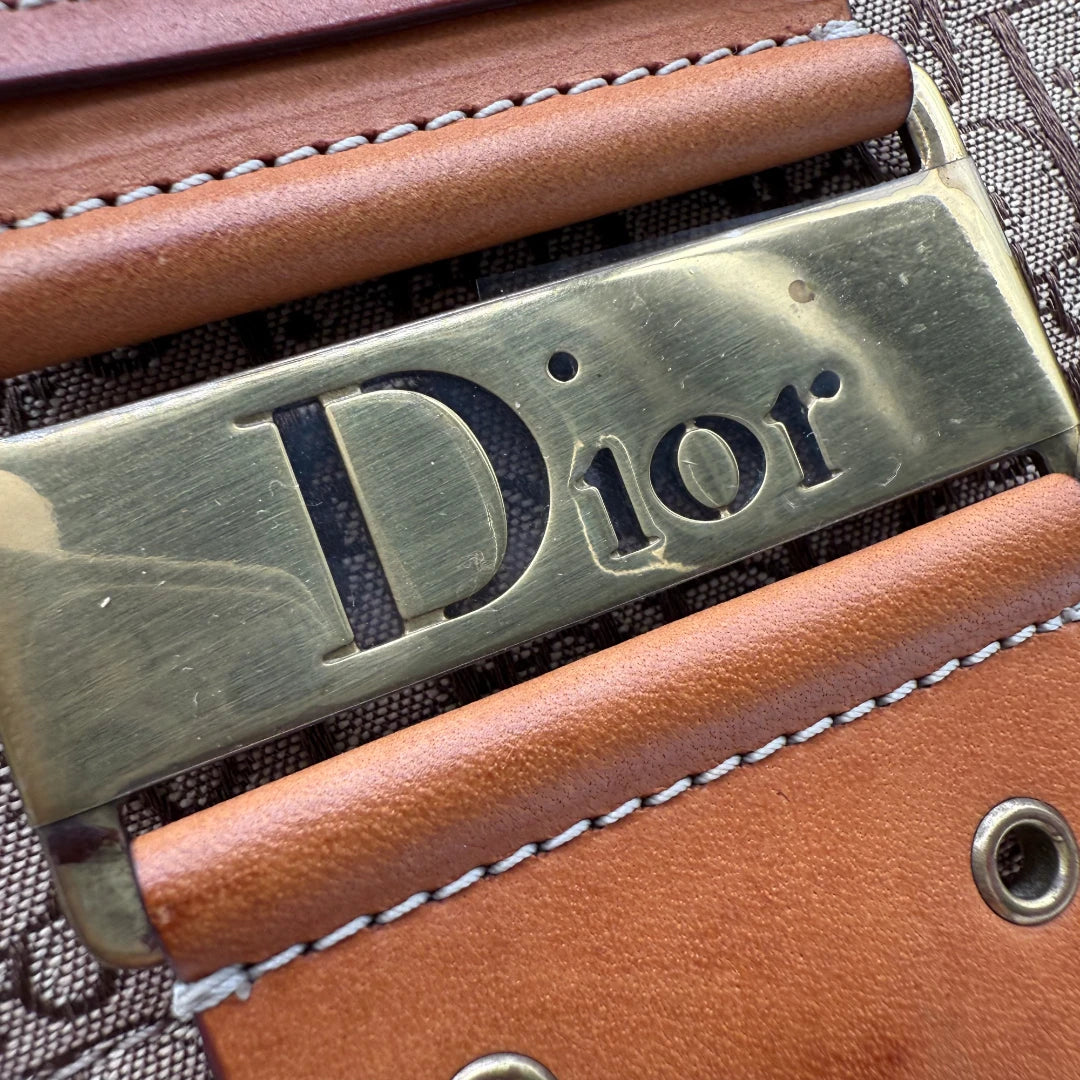 Dior Handbag Street Chic