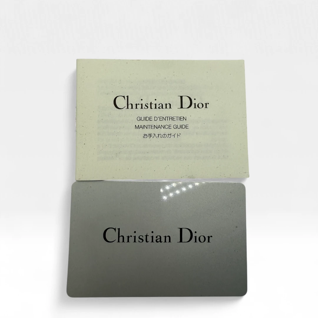 Dior Handbag Street Chic