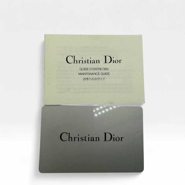 Dior Handbag Street Chic
