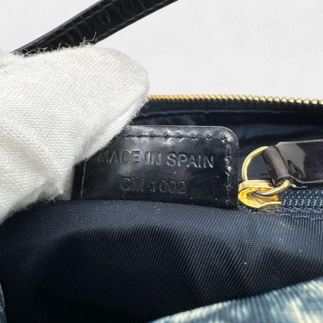 Dior Handtasche Vanity Pouch
