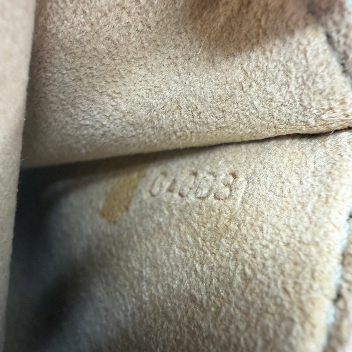 Borsa a tracolla Louis Vuitton Twin PM