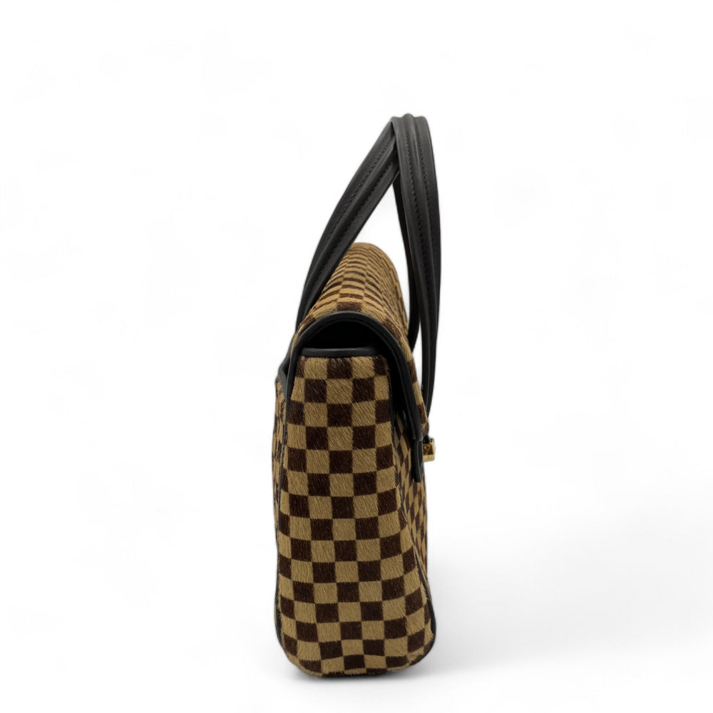 Louis Vuitton handbag Damier Sauvage Lionne brown