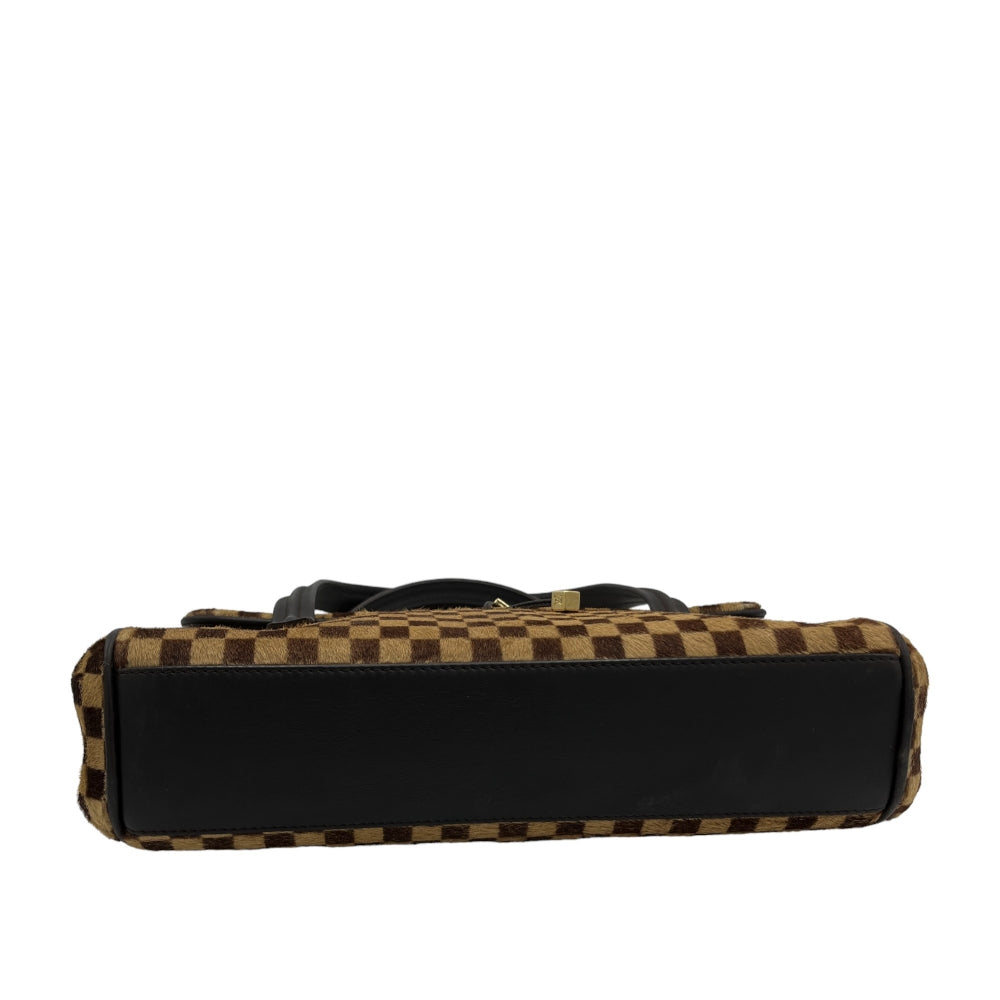 Louis Vuitton handbag Damier Sauvage Lionne brown