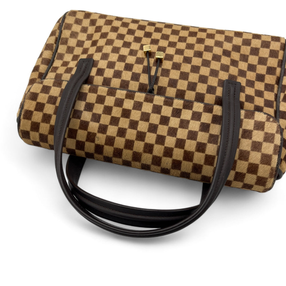 Louis Vuitton handbag Damier Sauvage Lionne brown