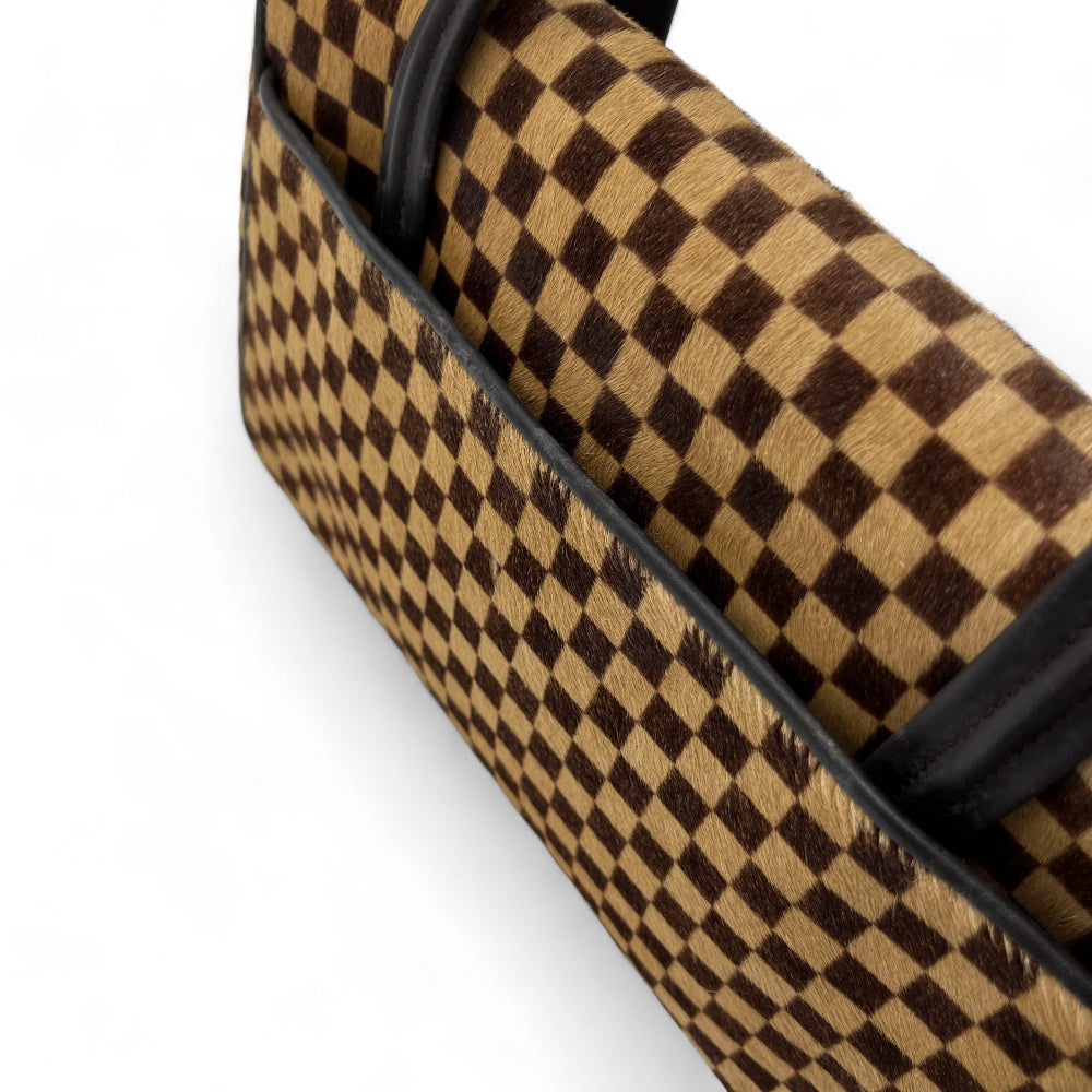 Louis Vuitton handbag Damier Sauvage Lionne brown