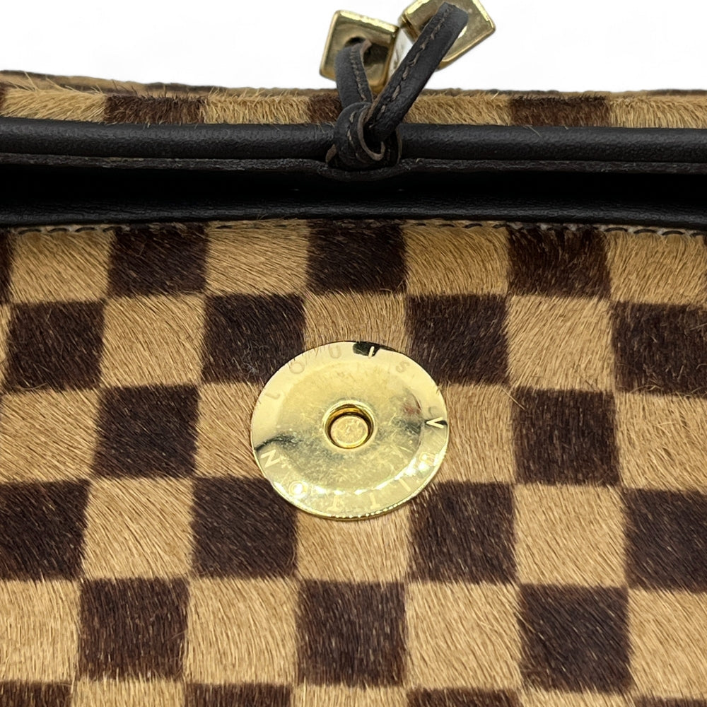 Louis Vuitton handbag Damier Sauvage Lionne brown