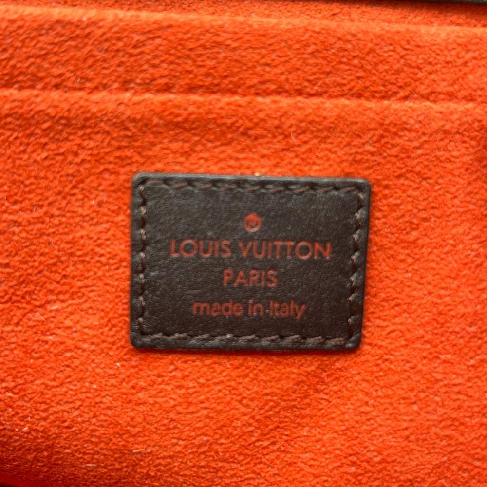 Louis Vuitton handbag Damier Sauvage Lionne brown