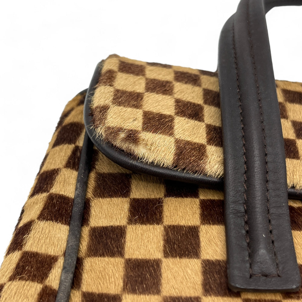 Louis Vuitton handbag Damier Sauvage Lionne brown
