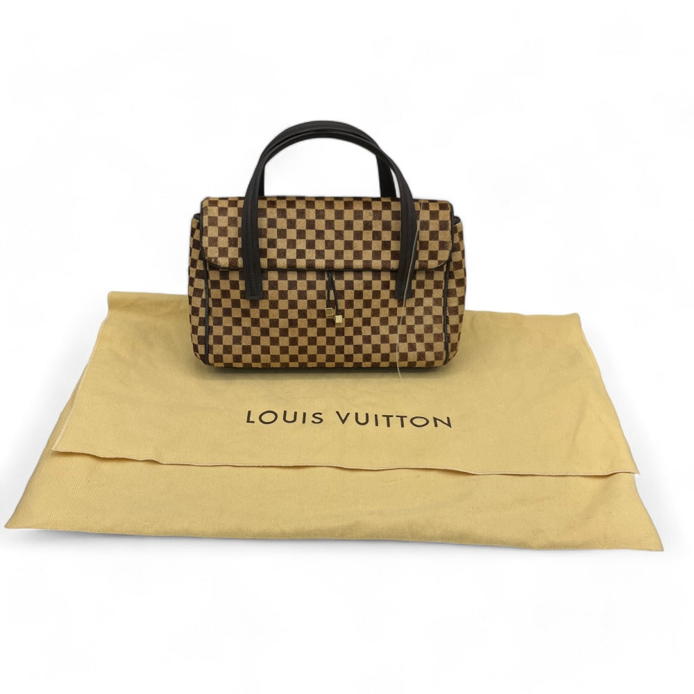 Louis Vuitton handbag Damier Sauvage Lionne brown