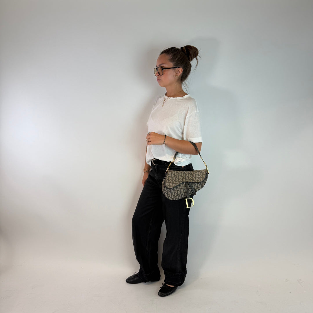 Dior Handtasche Saddle Bag