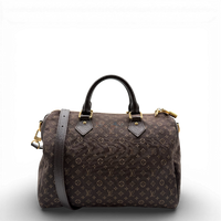 Handtasche Speedy 30 Bandouliére Mini Lin