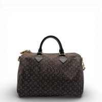 Handtasche Speedy 30 Bandouliére Mini Lin