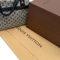 Louis Vuitton Handtasche Josephine PM monogram grau – mit Originalbox