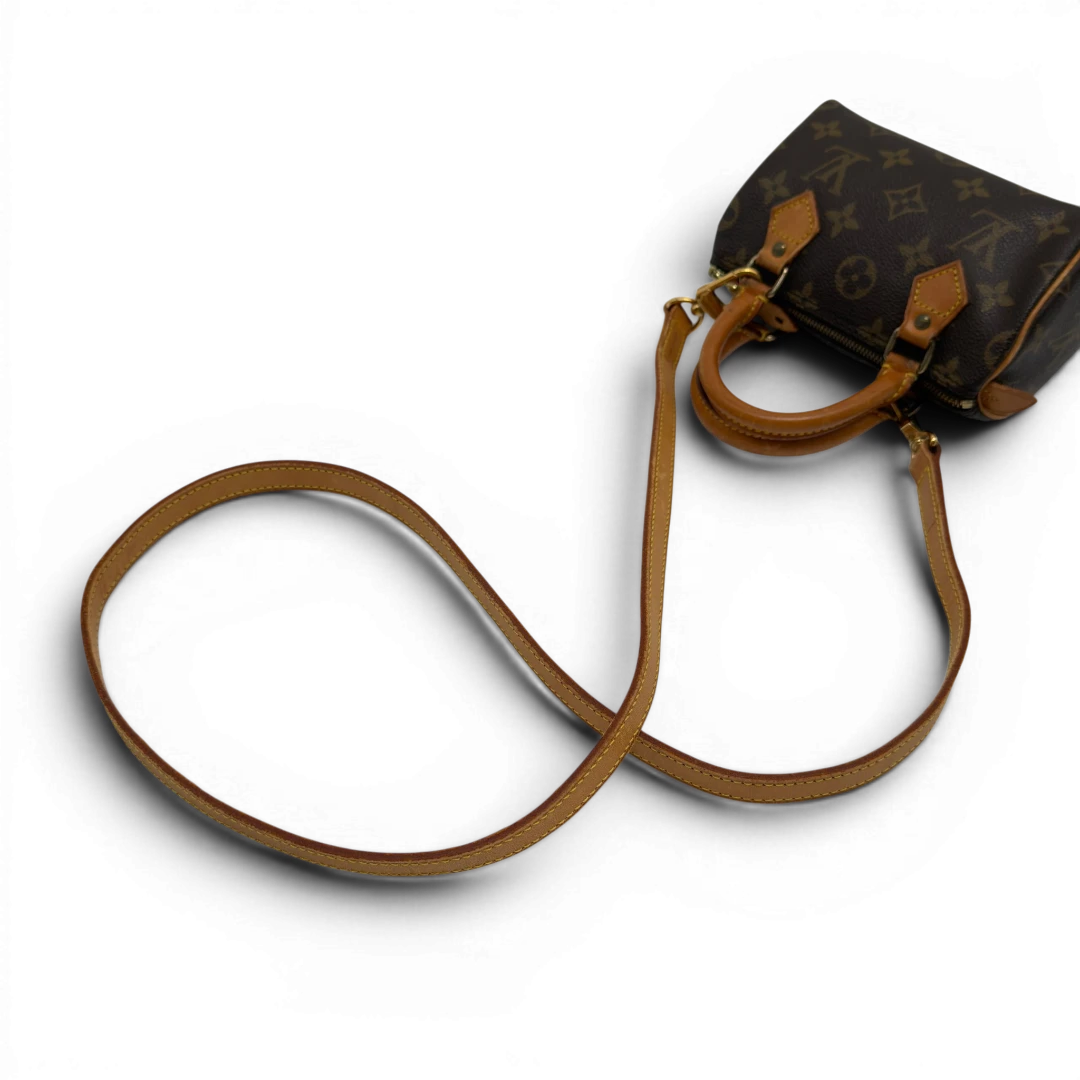Louis Vuitton Handtasche Nano Speedy