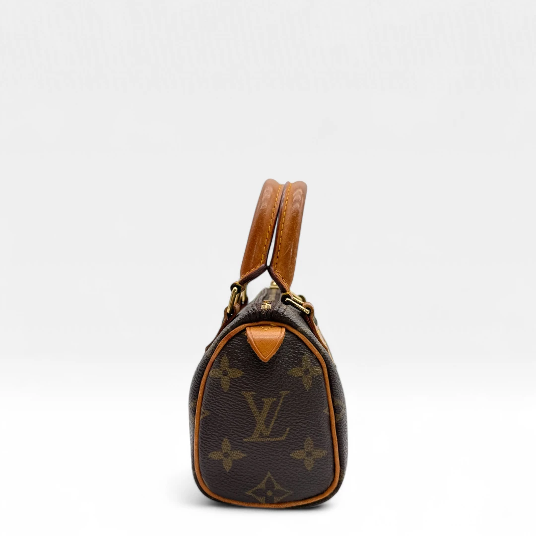 Louis Vuitton Handtasche Nano Speedy