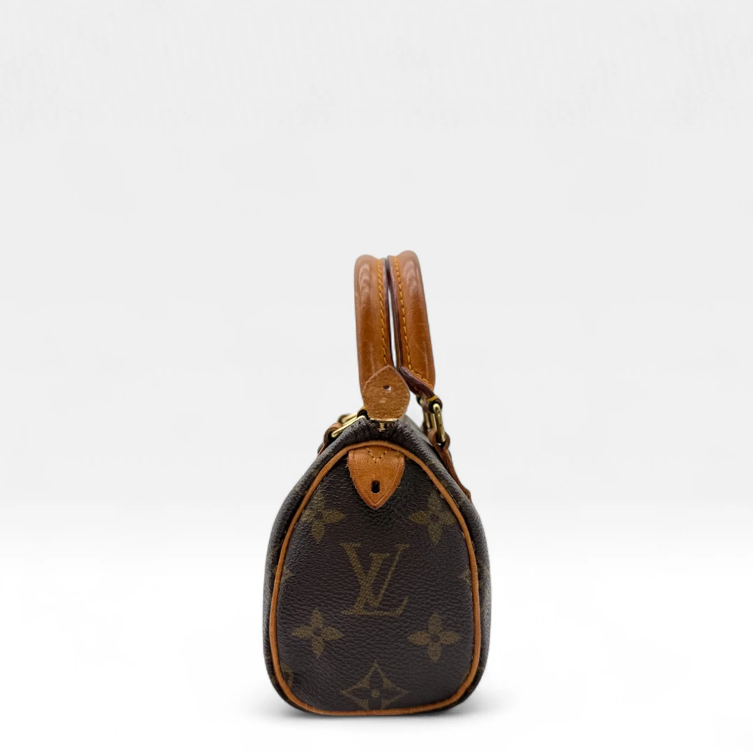 Louis Vuitton Handtasche Nano Speedy