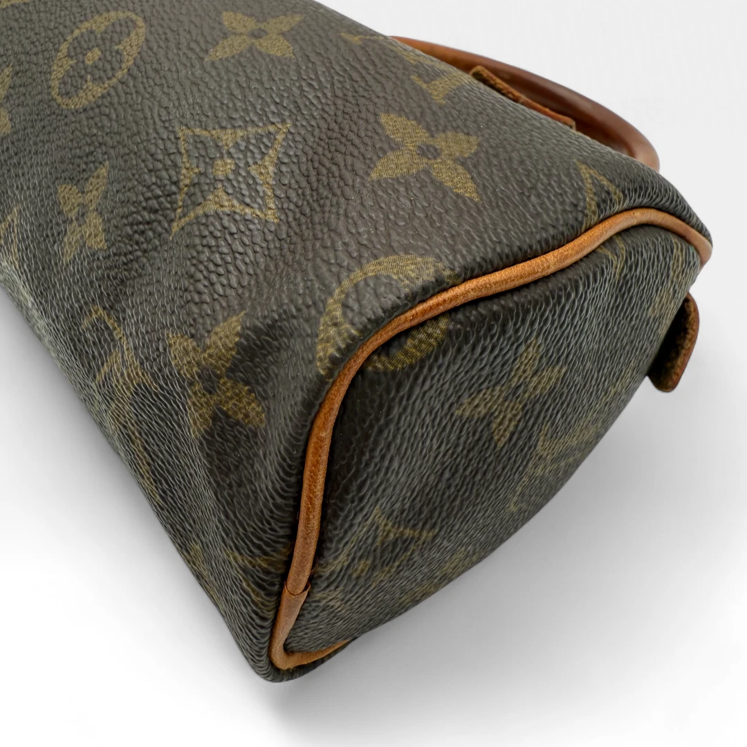 Louis Vuitton Handtasche Nano Speedy