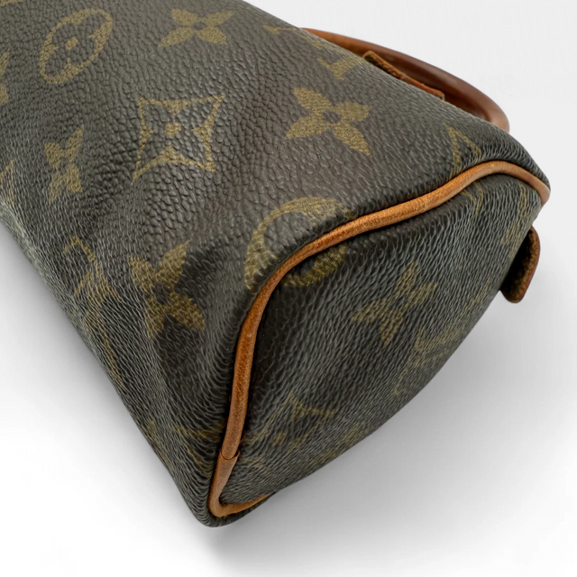 Louis Vuitton Handtasche Nano Speedy