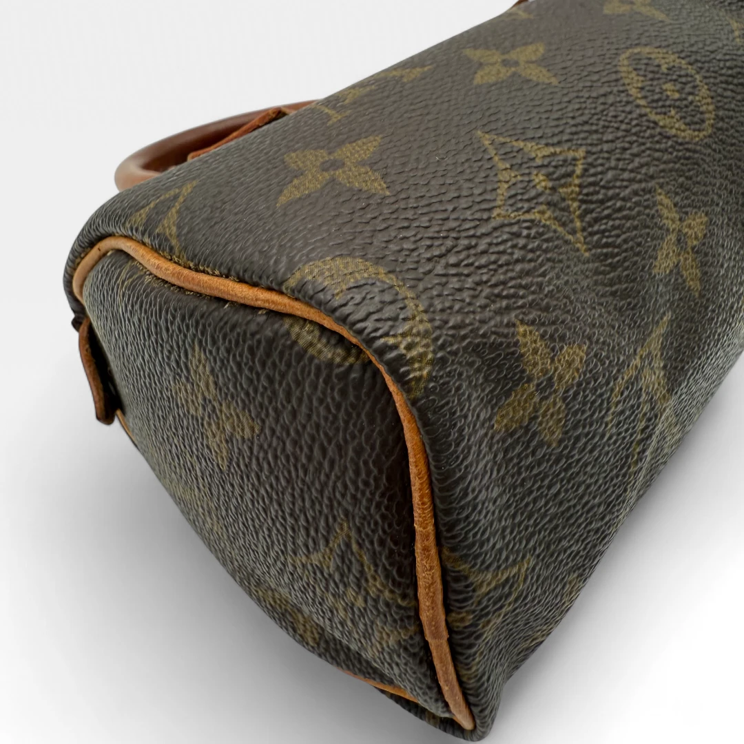 Louis Vuitton Handtasche Nano Speedy