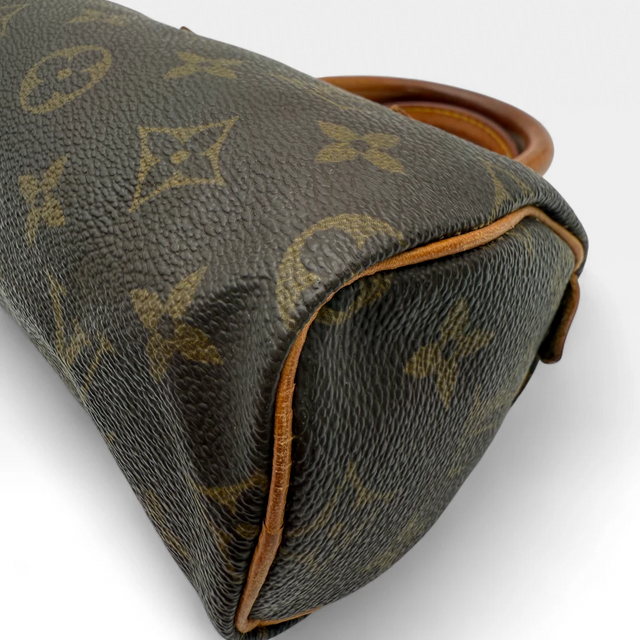 Louis Vuitton Handtasche Nano Speedy
